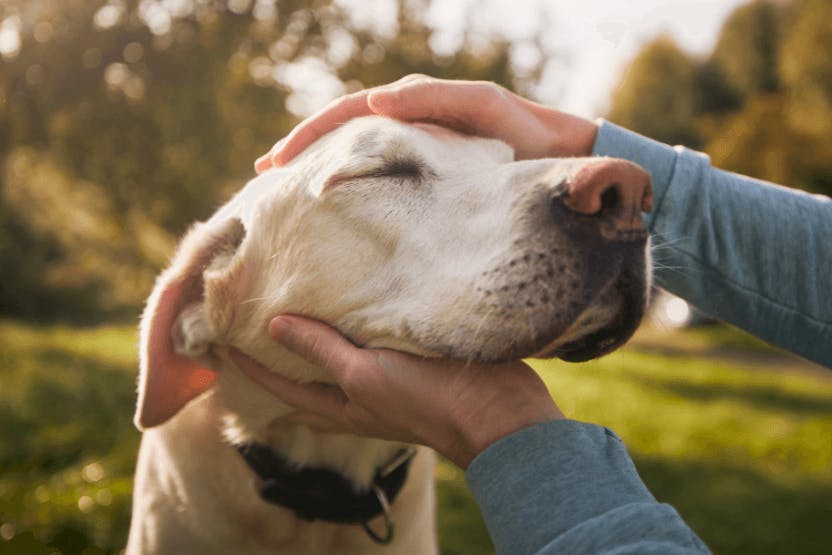 caring